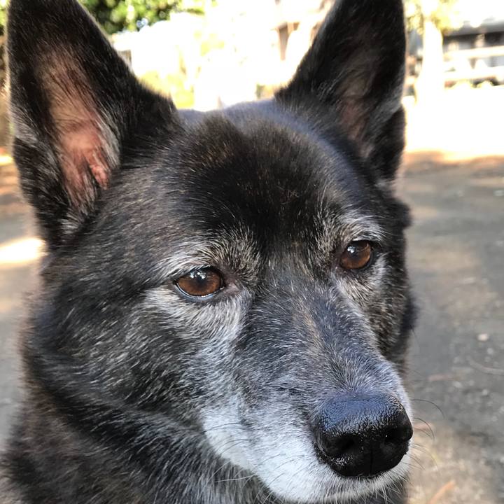 5bfbc4bc 98b9 443a 9aa8 74bff42e81b7 1510279847621