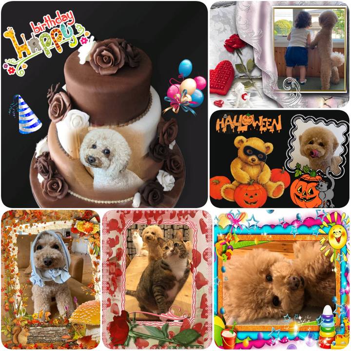 5bfbd44e 7b66 4edb b24c 75f32e47a213 1601936507304