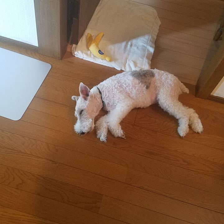 5bfbd8f4 393f 466c 8192 b6b3caf97301 1566430156240