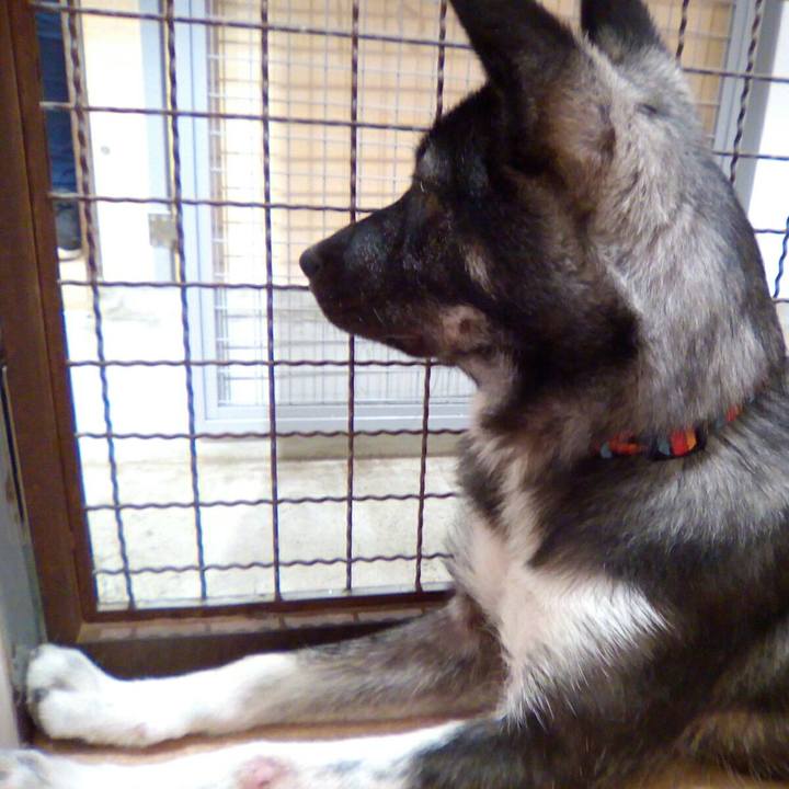 5bfbf16f e07f 4400 bc70 675009c5752c 1526824878107