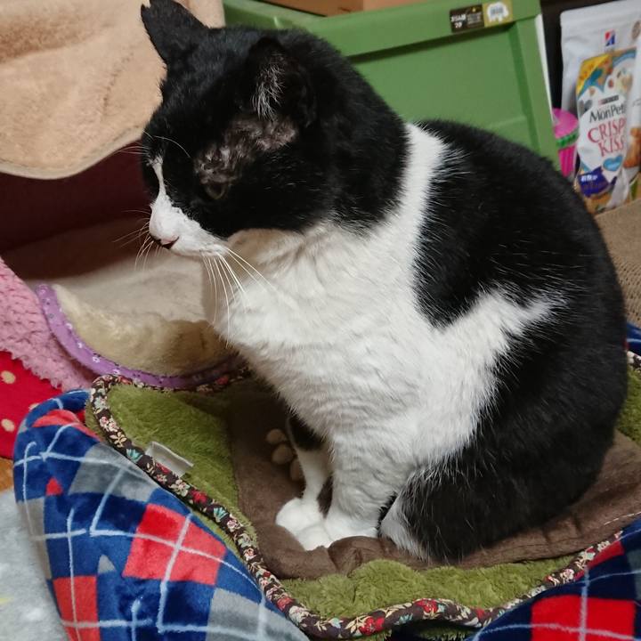 5bfc2509 d050 45db 9c0c dbfdd23fe755 1579232110671