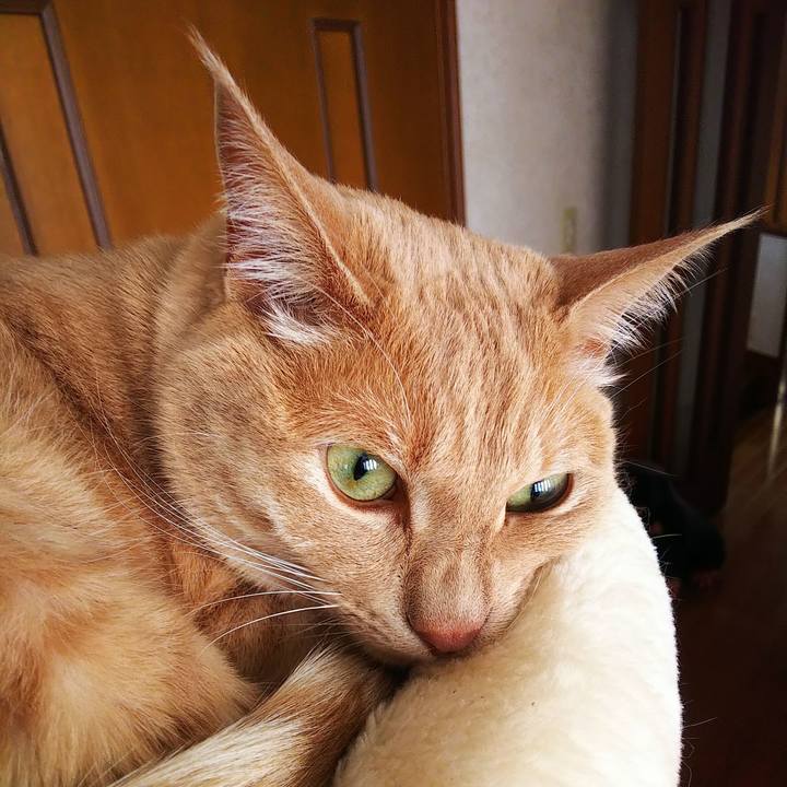 5bfc3869 38e0 448a ab7d 779c86956ee6 1620458857147