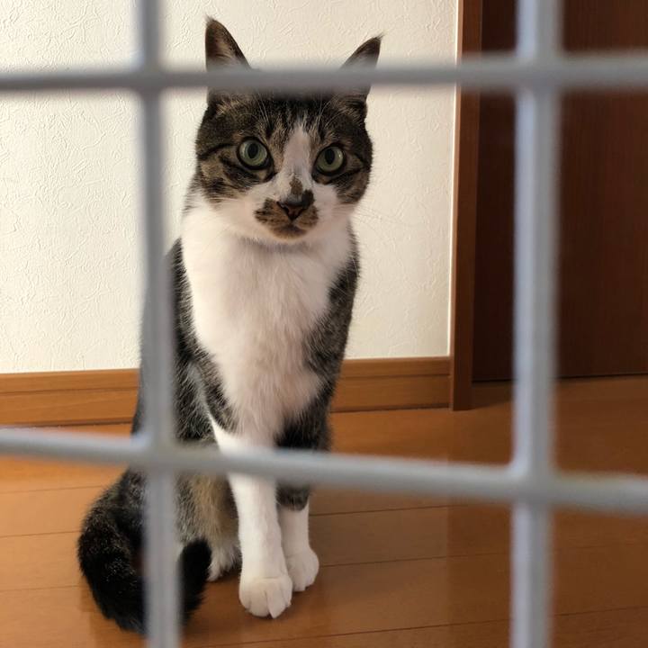 5bfc3b6e 3089 49e7 9542 87656ce23adc 1525093709192