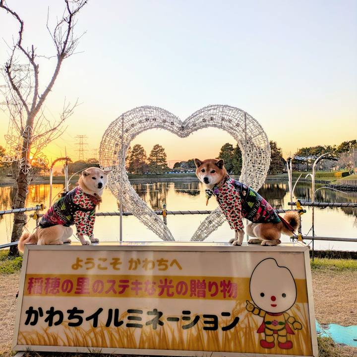 5bfcb346 82c6 4959 8ee9 c69fb939cfd1 1732582596049