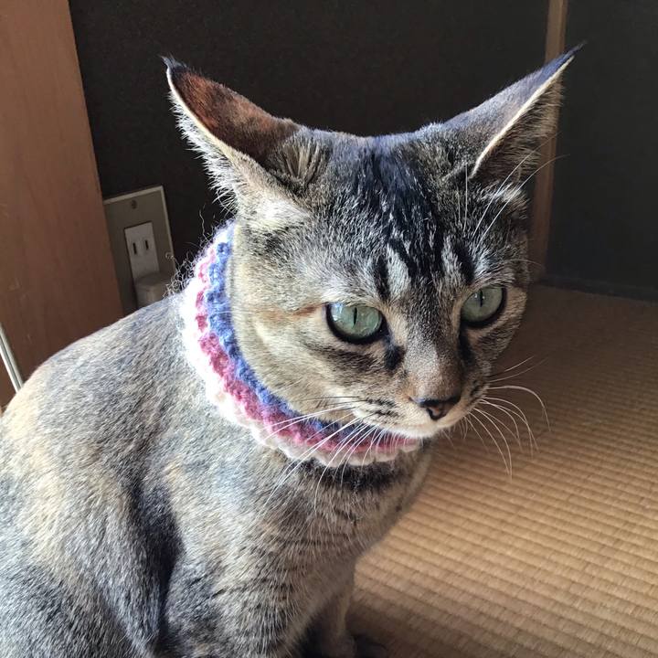 5bfcda3b 2c20 4790 88e4 6bfeb23c8270 1620522787273