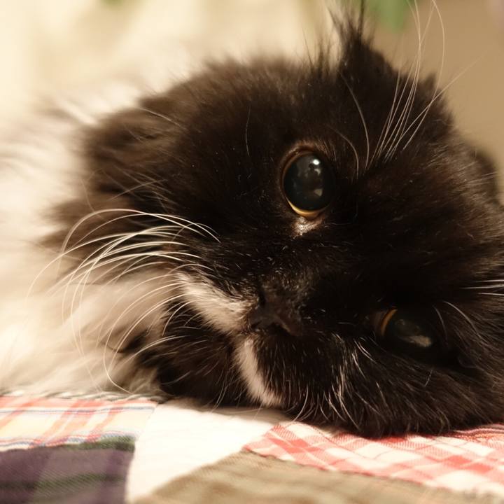 5bfce16b fa74 4613 86ed 2e2259bae10e 1536594670443