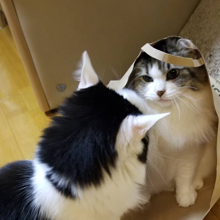 5bfd3e86 8be6 4990 bf52 74587c2013f2 1545131521153