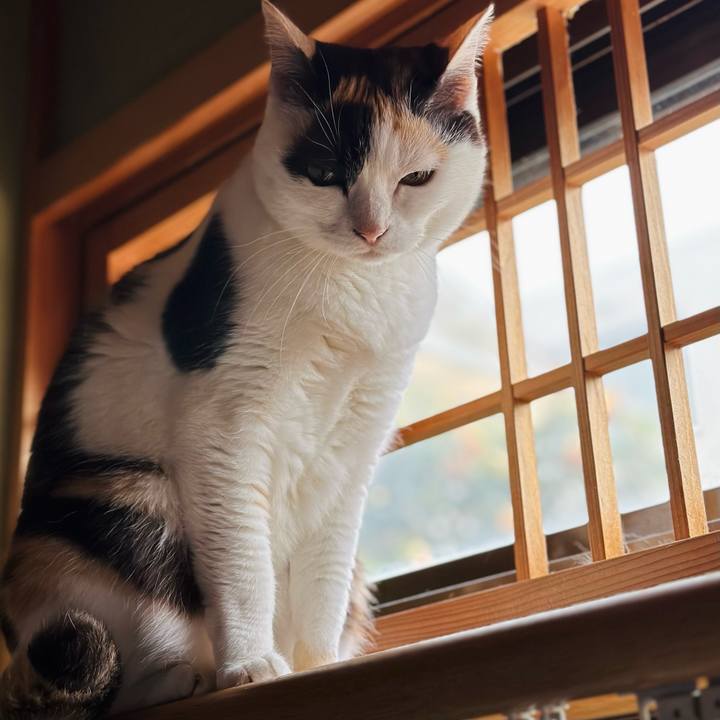 5bfd7537 727e 4084 bac7 ecc194075645 1686879012302