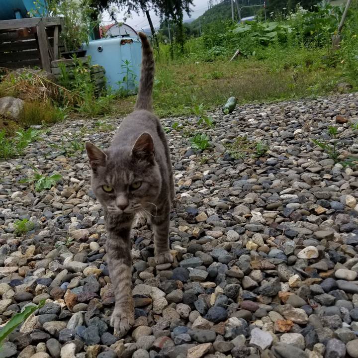 5bfd9b90 92bb 4a2b bcaf 44f99701df78 1533996837333