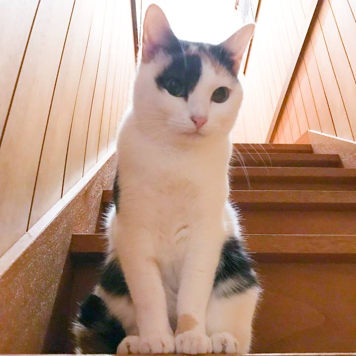 5bfdbab6 0904 4084 a5e8 556ec8ae9421 1513731328470