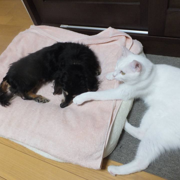 5bfdc7da c74f 4003 a845 2065af9f581c 1631686590657