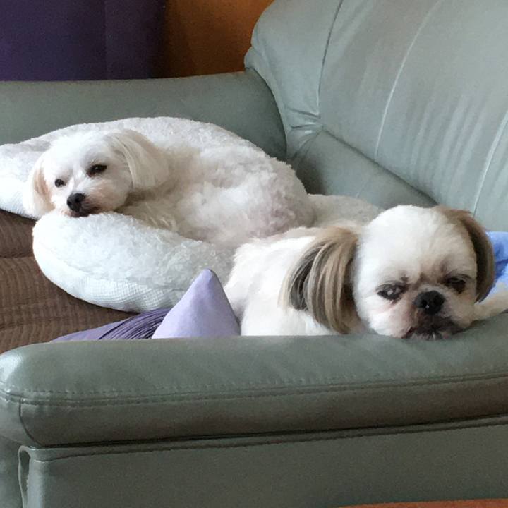 5bfdfb38 5c83 4e17 bce3 87026002684d 1629082174525