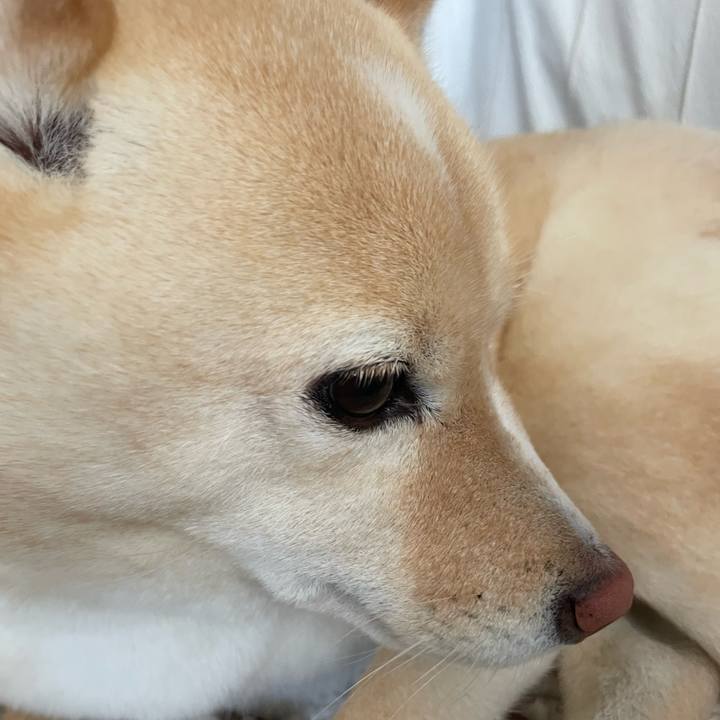 5bfe1f35 4f7a 4530 99b2 9529b536edb5 1675216796136