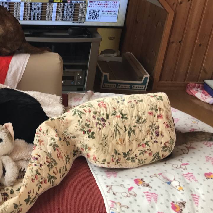 5bfe1fc1 7a14 43c6 96e3 5e82b70483eb 1641081266397