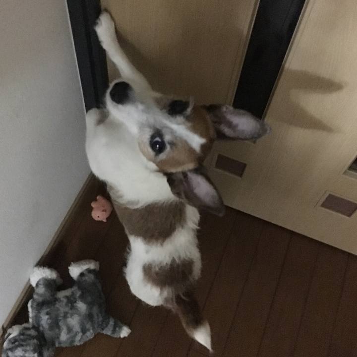 5bfe228a 005f 4d6e a9be 8d99bcc651cf 1564630481560