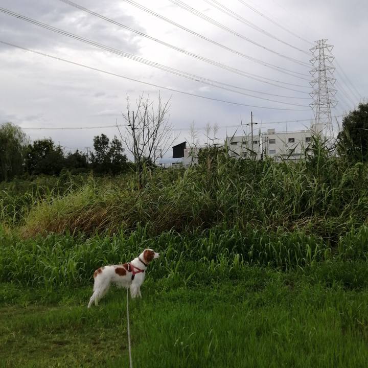 5bfe24fa 4b77 452f 87a9 388169a696f3 1629361907297