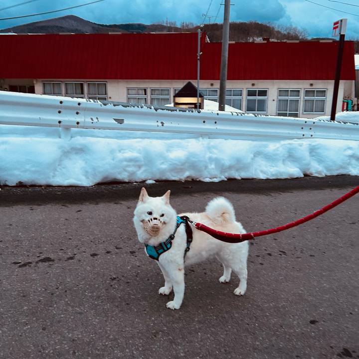 5bfe4d3c eb48 4937 8beb a6b16dd746af 1737586465866