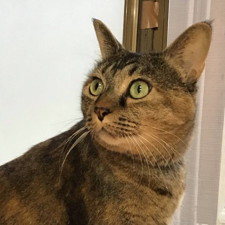 5bfe558e b12a 49a3 a60f afa1dcf5a4df 1759046473337