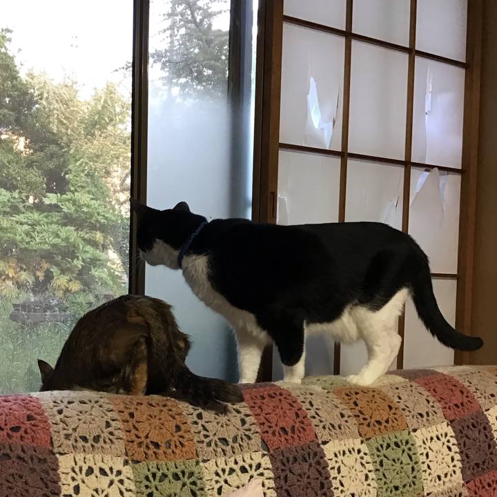 5bfe6732 0a87 40d5 bde9 1f802c1af3d1 1747735458283