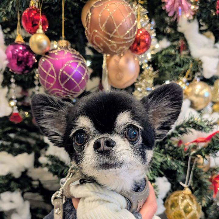 5bfe7131 0d90 46e7 8499 57032274b822 1764802750683