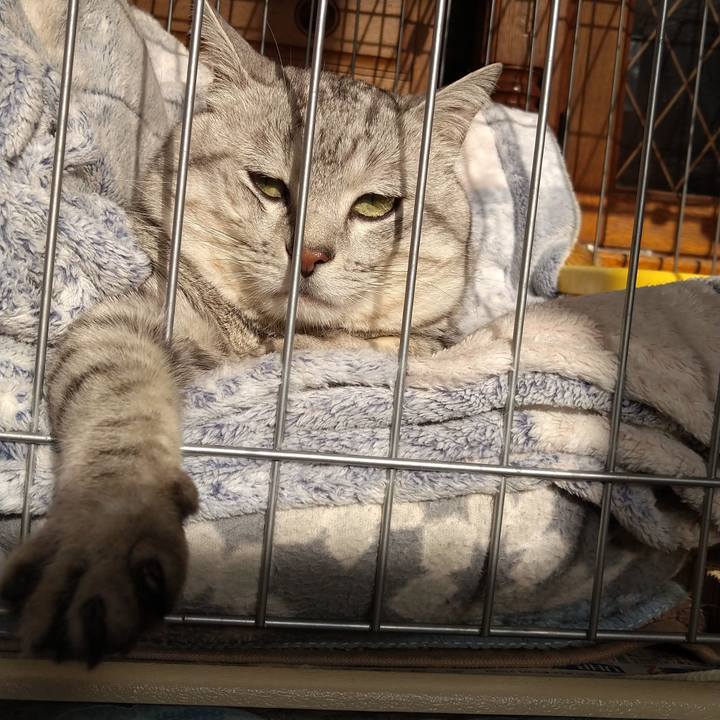 5bfe76d8 8528 42f7 bbc7 3855fc761cdb 1632297532167