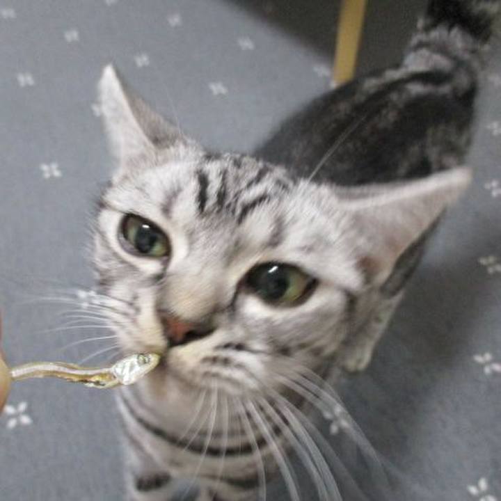 5bfe7b65 4753 4068 9afa 39f7e67e9178 1540376371498