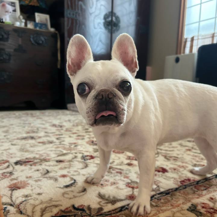 5bfe8973 df9a 4c3f 9d80 749a0cce250b 1751674041998