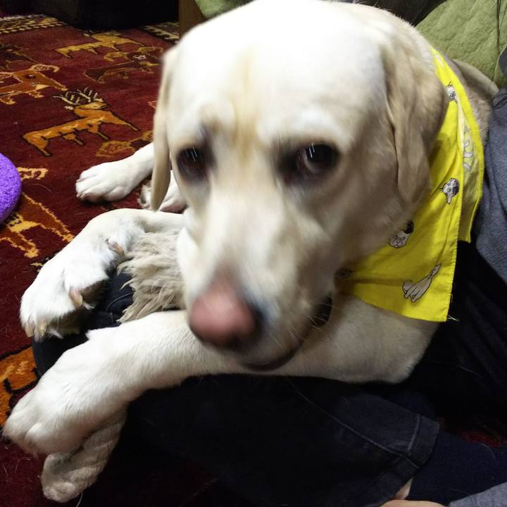 5bfeaf5b 3f22 4f2d 8ae7 15549152ab24 1515836444251