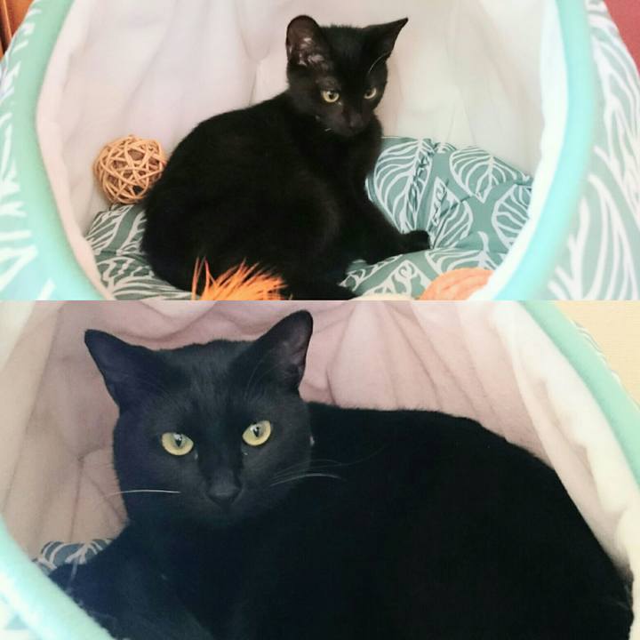 5bfee495 f59f 4f32 9c94 1e2a33e8379a 1522886284079