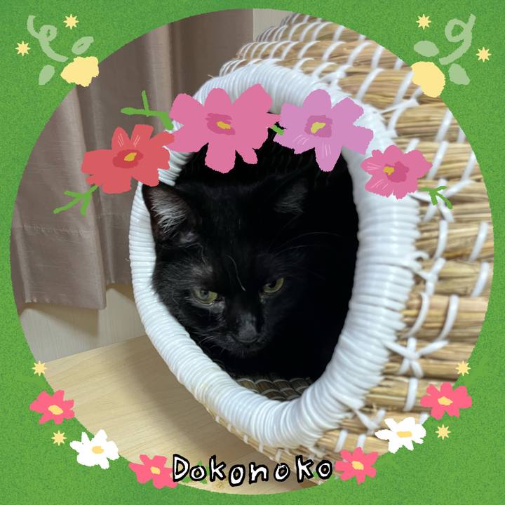 5bff24dd f4d6 499f 8c3f bb043466c1d5 1726831349095