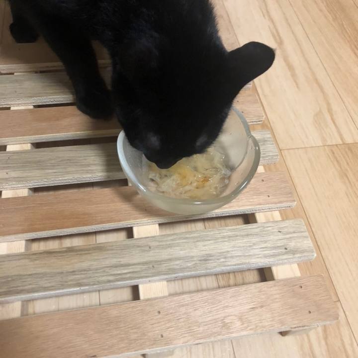 5bff358f 167f 43ba 85e7 e1048c86cb36 1558438307585