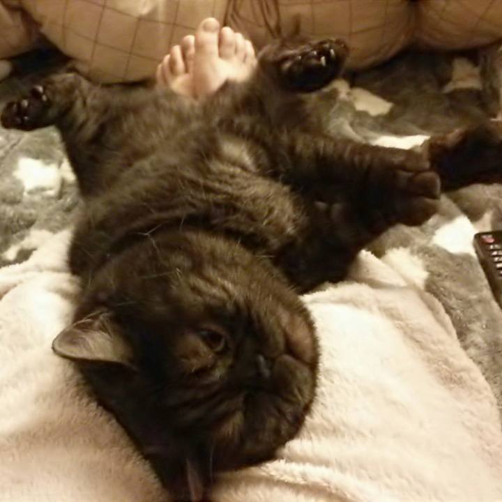 5bff53b3 ca7b 41ea 8aa1 a901e680b093 1515326167719