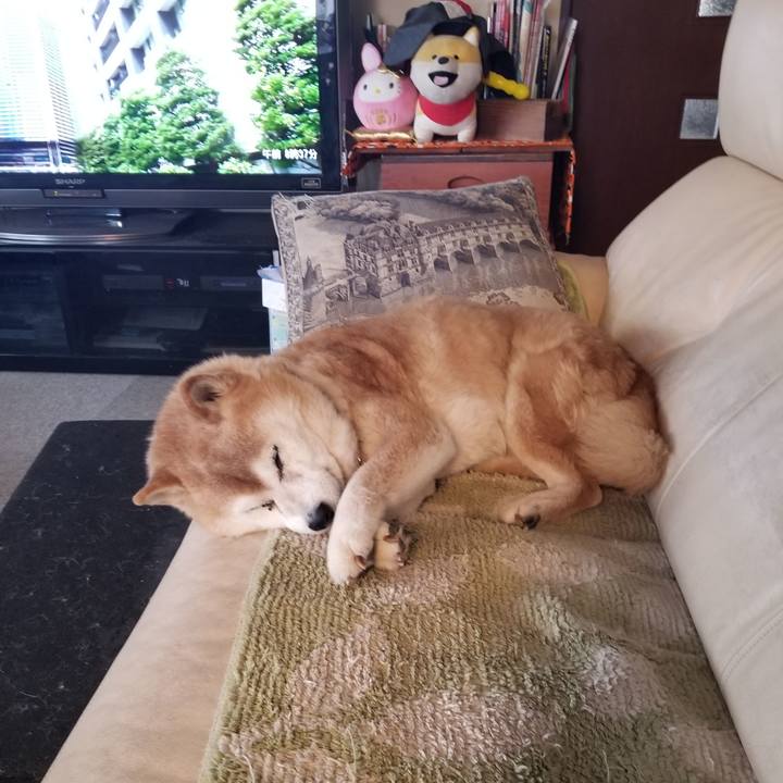 5bff57e6 cbea 46cc a128 18d3fe36f5d7 1770161885653