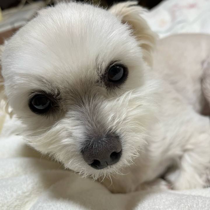 5bff5aa9 e66d 4a0c 80ed ef8dc7c7c8b6 1652700392446