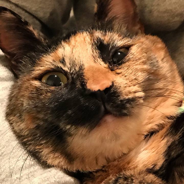 5bff8e02 dc0d 4d69 9c22 15f98f71d2d7 1510390006803