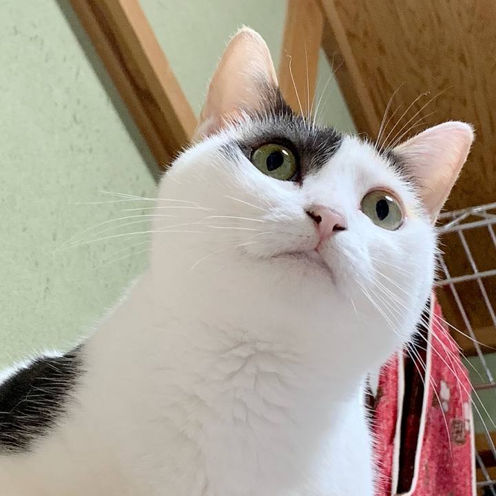 5bffa966 208e 4126 a5a9 0776e04a3045 1538446922358