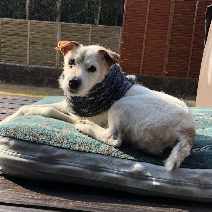 5bffd71e becf 4e70 a702 8a42d00ad6aa 1647993676429