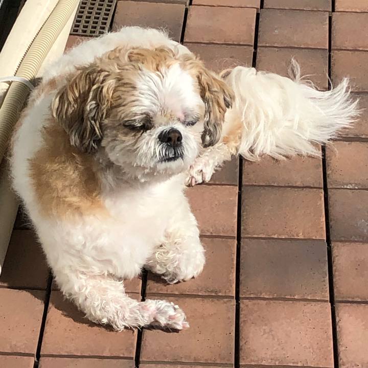 5c001c03 6557 4edd 815e 66b91cf98cc0 1581458326149