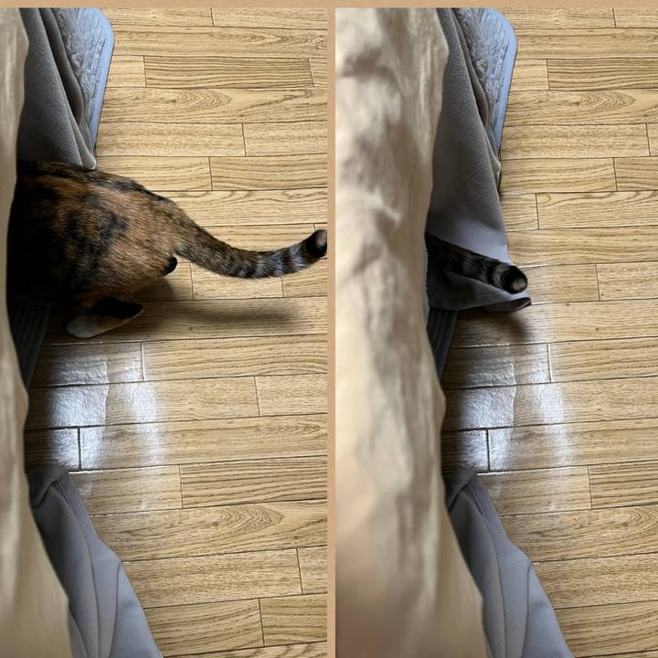 5c008f5d fbeb 4f74 82b8 bf5cc6e5c215 1769647031527