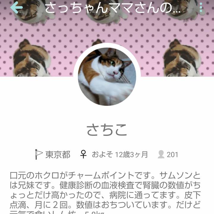 5c0099d5 049f 4a72 8a96 7f6df25f14b8 1574856771795