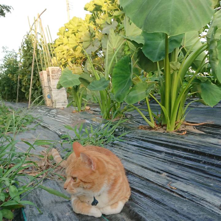 5c00a8b4 22c7 4ea8 b6e2 fd8fe1f4bf23 1564653353243