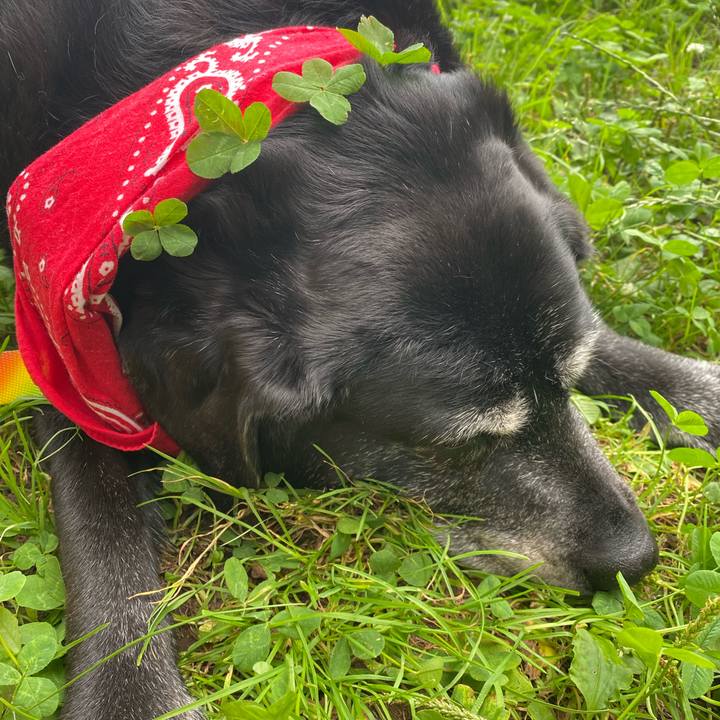 5c00be45 3cf9 4e49 aa60 02ad8dfb8899 1687766423677