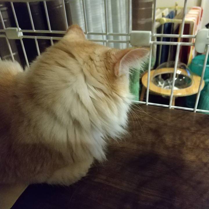 5c00fecd d545 4c78 98fc 5b6f3d3d98c2 1625232675673