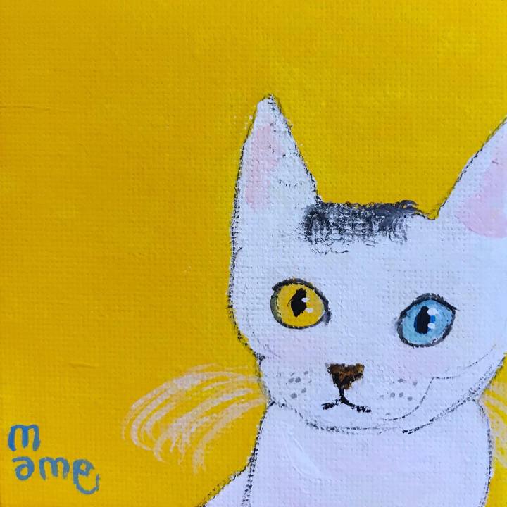 5c010399 d0af 44f0 abdd 94992d52a681 1632998306413