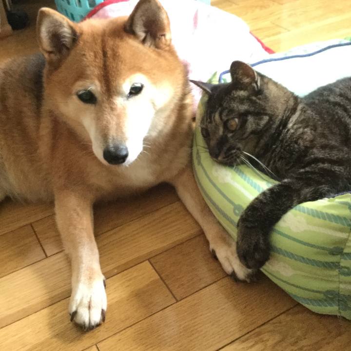 5c01cba3 ec6d 4c83 ac1d d3457f5bb37a 1598691695983