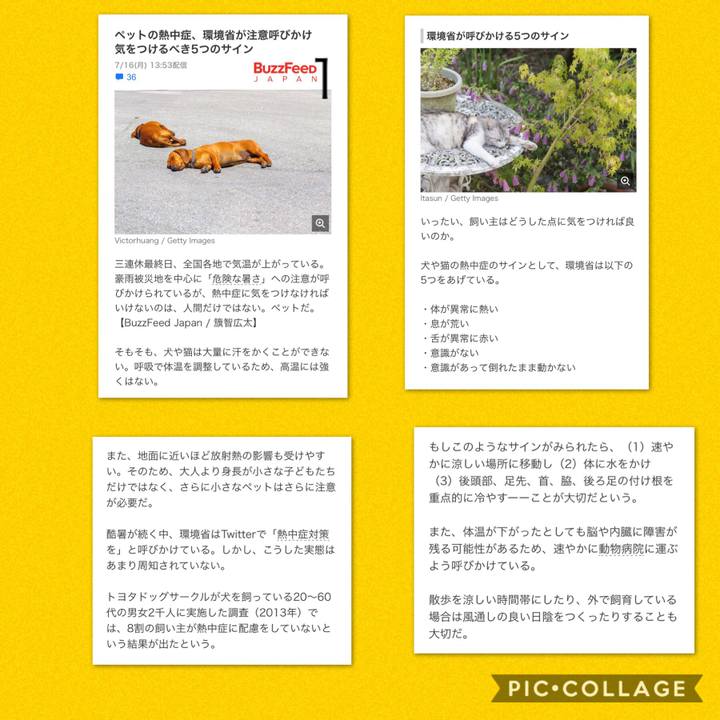 5c01df61 5fda 49e4 b0d0 6d0f86865f50 1531720768727