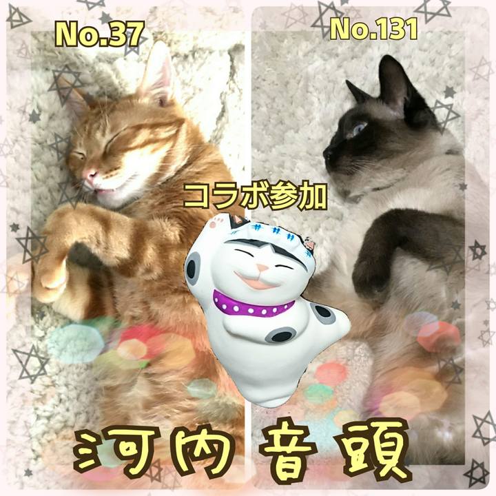 5c01f08c 5b7a 4ab3 adaa d2660cb9ed18 1525520959703