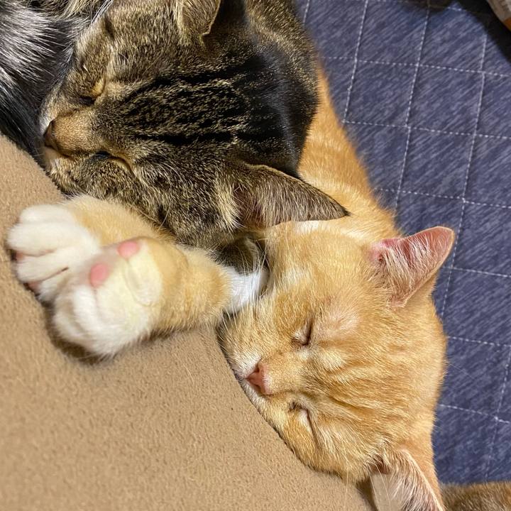 5c0213b5 53f3 4e38 9bd1 cca921f127fb 1637675784590