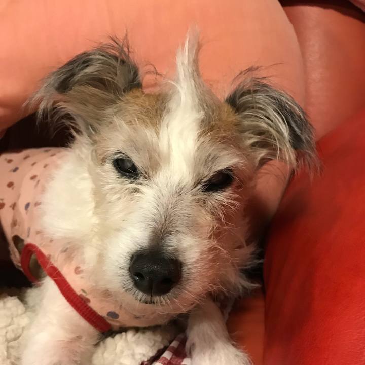 5c0219e6 2124 4cb8 80ff a40be15f0915 1515579677136