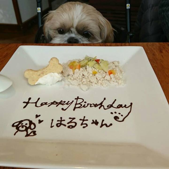 5c021f6e cc23 431d a986 51183f3b7e30 1549346073948